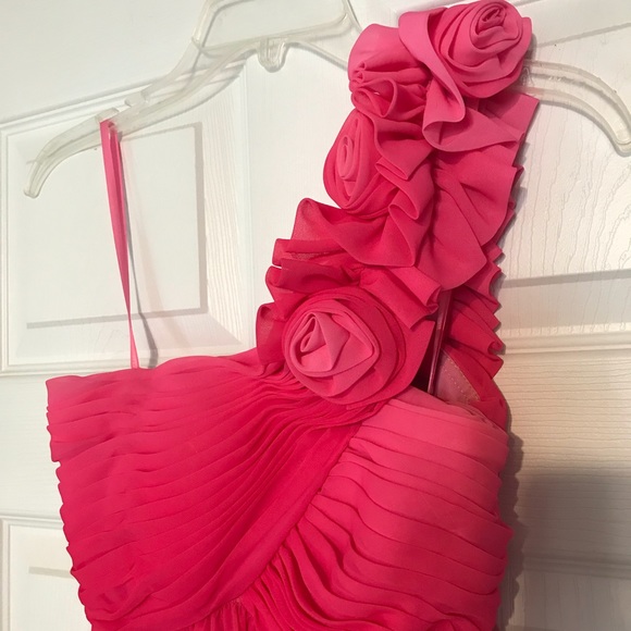 Formal pink size 2 Caché Gown - Picture 2 of 7